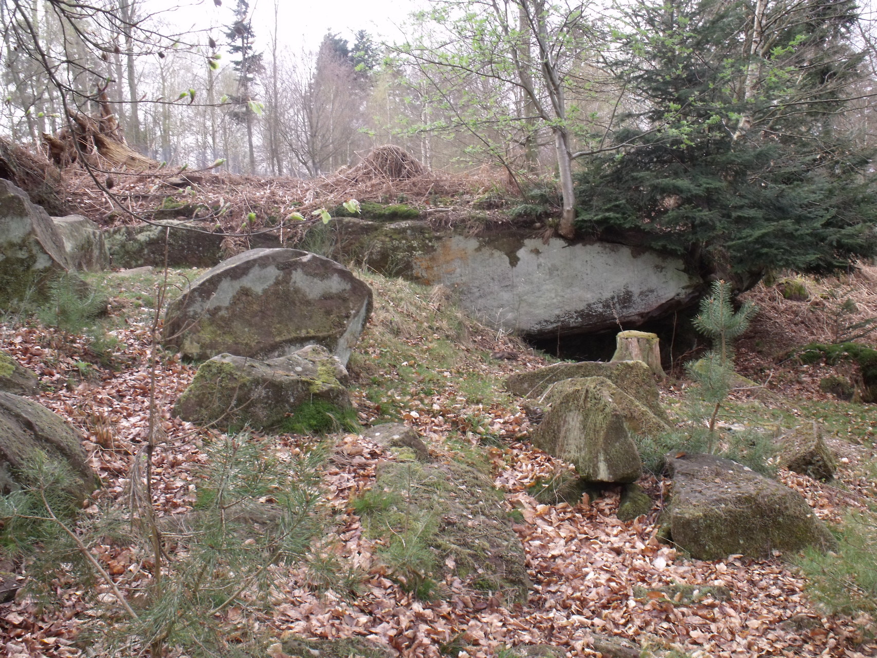 la carrière ouest