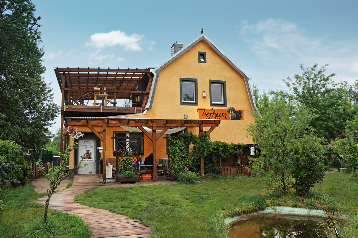 Startseite Tierheim Am Sees Webseite