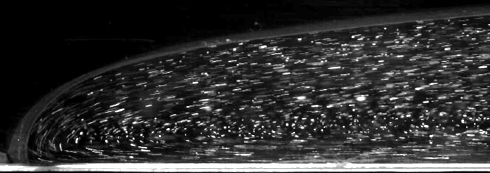 Fluid trajectories in the front of a viscoplastic surge in a flume experiment