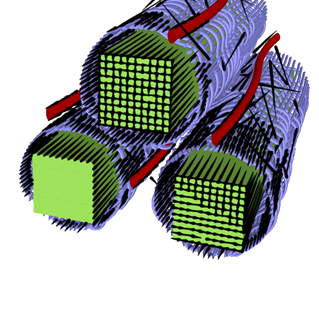 Wood is made of a complex structure including hemicelluloses (in purple on the picture). Their soft extraction would give access to rare oligosaccharides such as galactoglucomannan having a great potential for nutraceutical or cosmetic applications