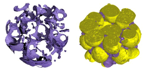 3D X-ray tomography of a biofilms developing in a biofilter (~500 mm3)