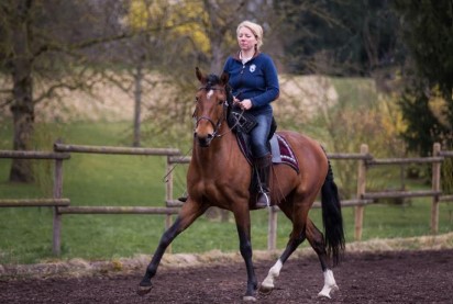 Natural Horsemanship und Reitkunst
