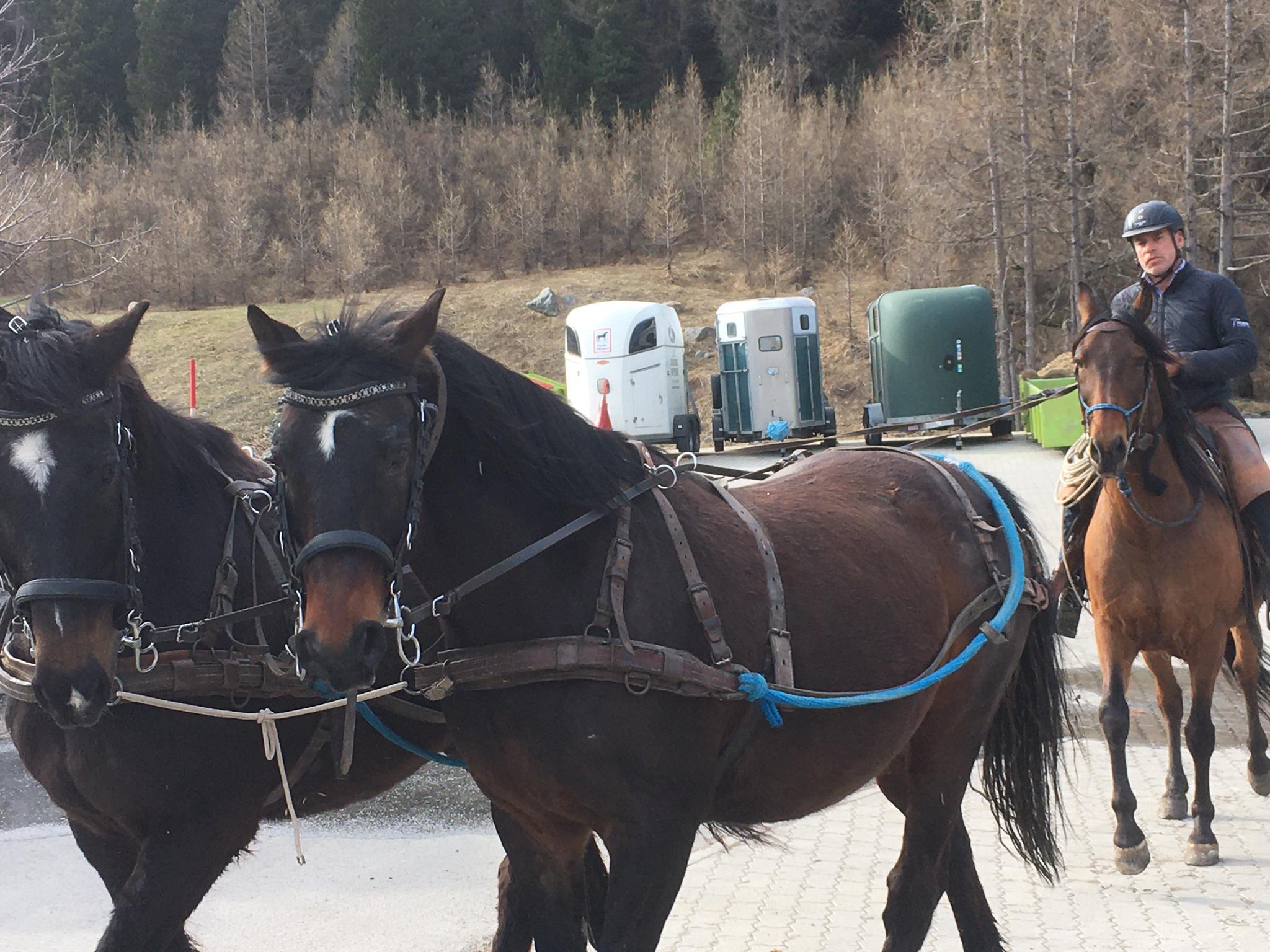 Schneeschmelze im Engadin. Urs hatte keine Lust mehr durch den Matsch zu laufen: Castor wird eingefahren zusammen mit seinem bereits versierten besten Freund Zaubi. Gleichzeitig ist das ein guter Job für den hochsensiblen PRE Risueño.