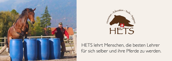 Systeme und Konzepte versus Strategien versus Begabung