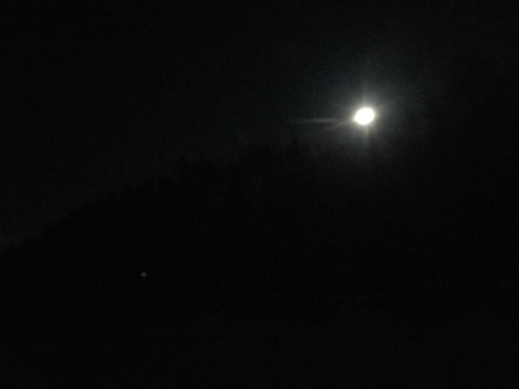 Langlaufen bei Vollmond