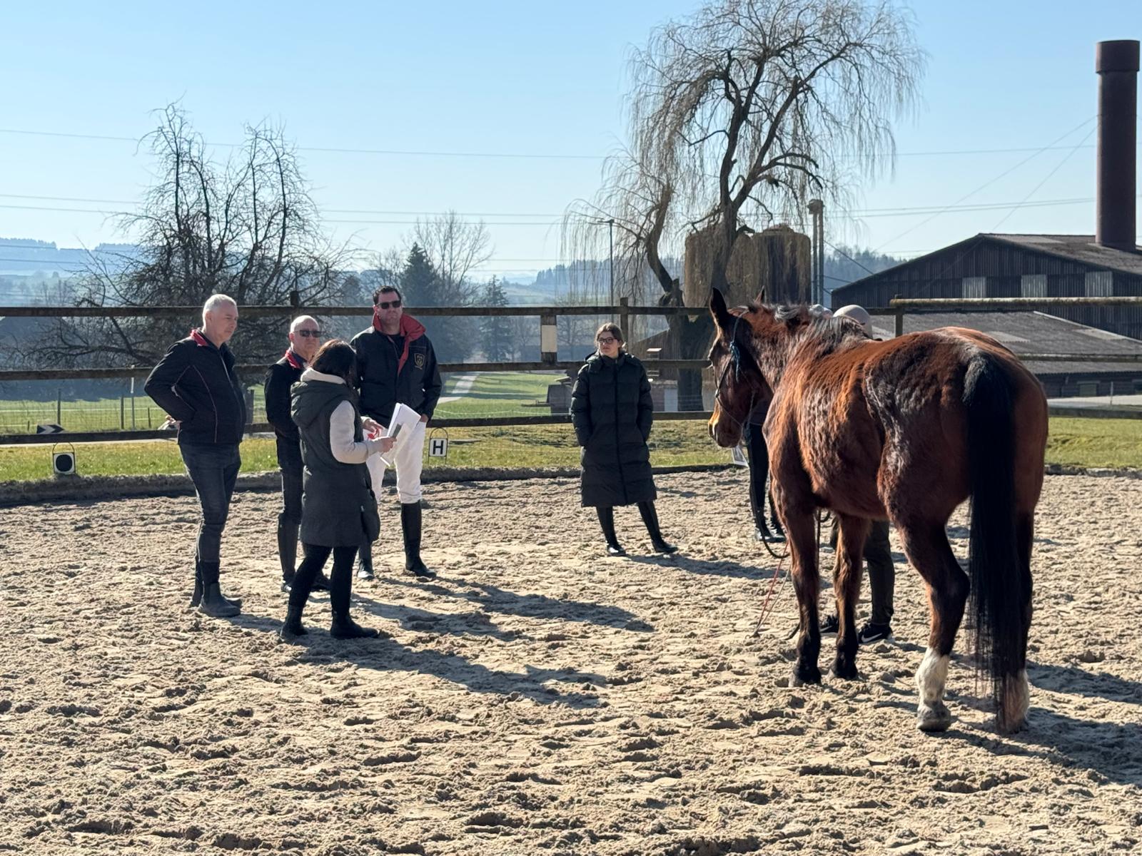 HETS-Trainerinnen zu Gast bei der Zunft