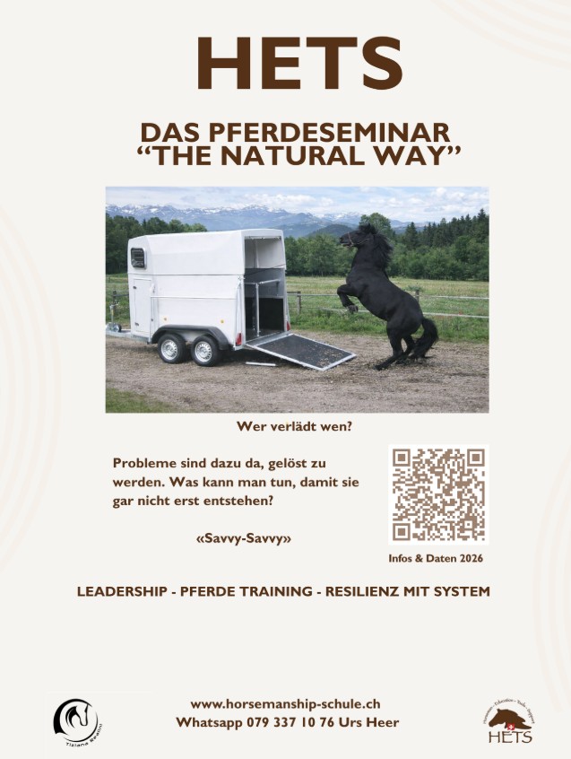 Flyer Zuschauer-Seminare 2026