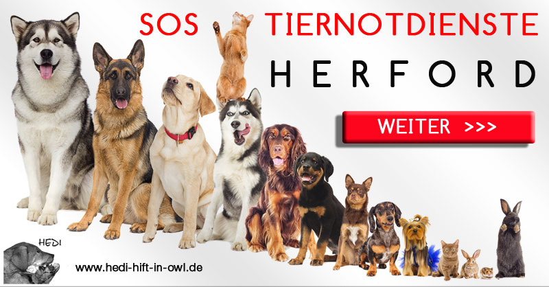 TIERÄRZTE NOTDIENSTE HERFORD TIERARZT TIERNOTDIENST TIERKLINIK TIERNOTFALL TIERHILFE OSTWESTFALEN LIPPE OWL