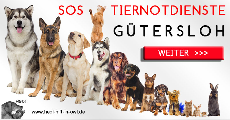 TIERÄRZTE NOTDIENSTE GÜTERSLOH TIERARZT TIERNOTDIENST TIERKLINIK TIERNOTFALL TIERHILFE OSTWESTFALEN LIPPE OWL