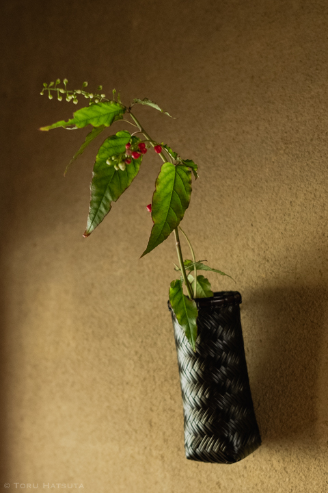 一輪挿しの「網代編掛花籠」