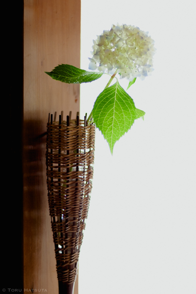 煤竹の籠に紫陽花を一輪(竹工芸家 初田徹 作)