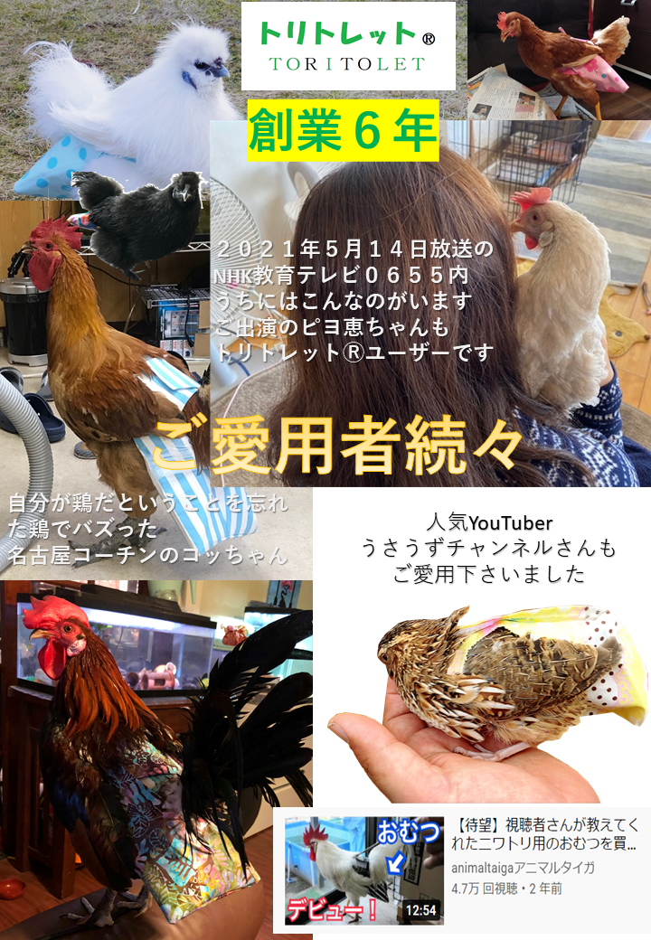 ロット売り準備中 - トリトレット～鳥用おむつ～