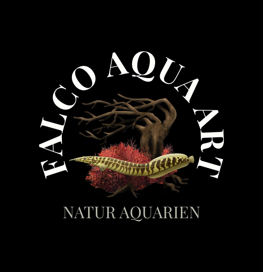 Professionelle Aquarien- und Terrarien-Dienstleistungen von Falco Aqua Art – Ihr Partner für nachhaltige Wasser- und Terrarienpflege