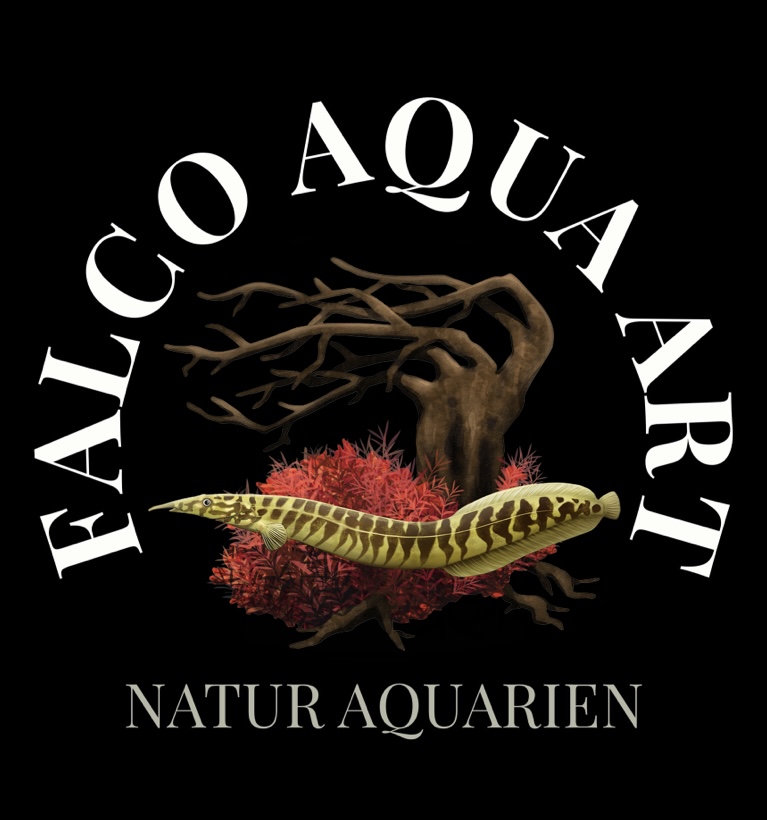 Ich Baue die schönsten Aquarien und Terrarien 