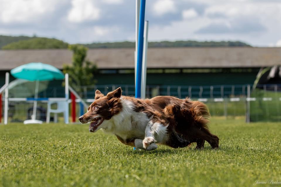 Voller Elan aus dem Slalom und auf zum nächsten Gerät