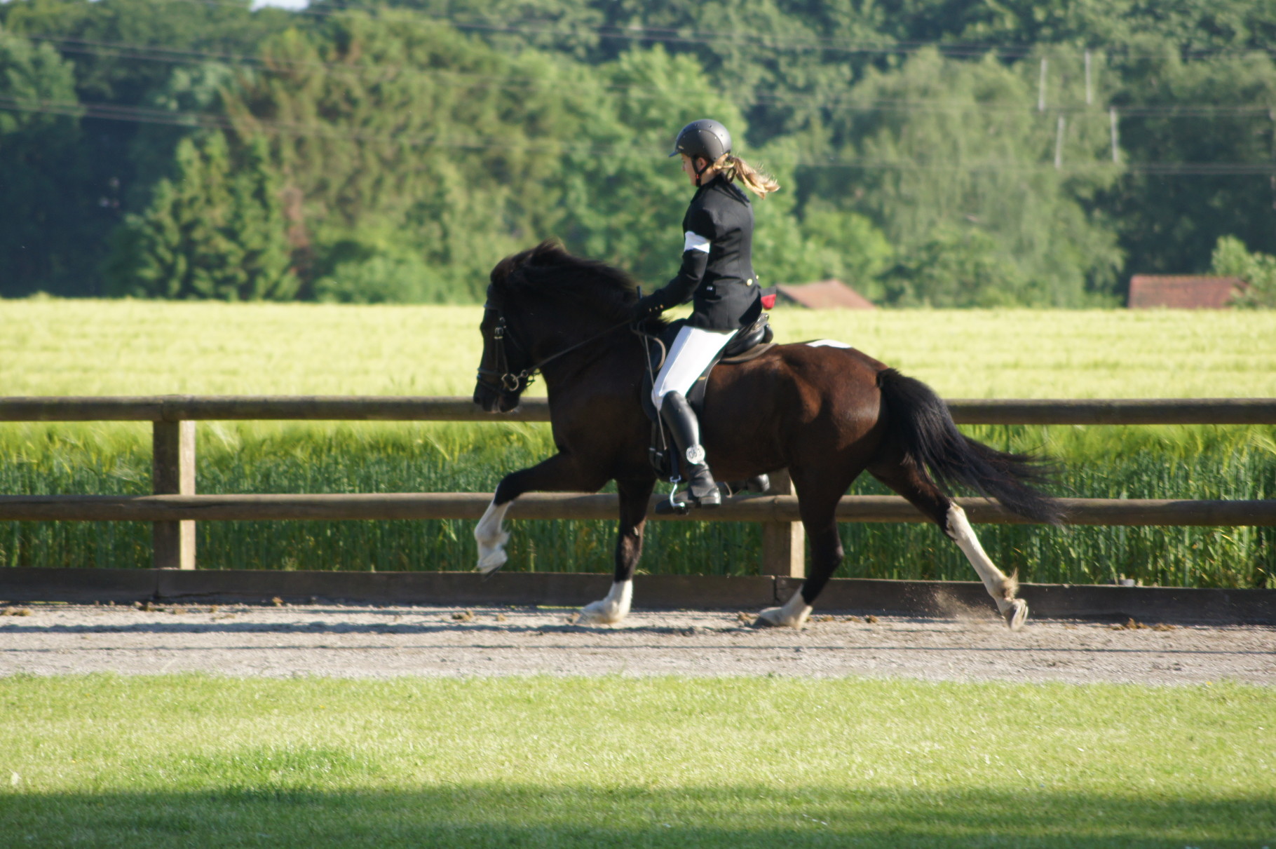 Thea& Gáski in Belm 2015
