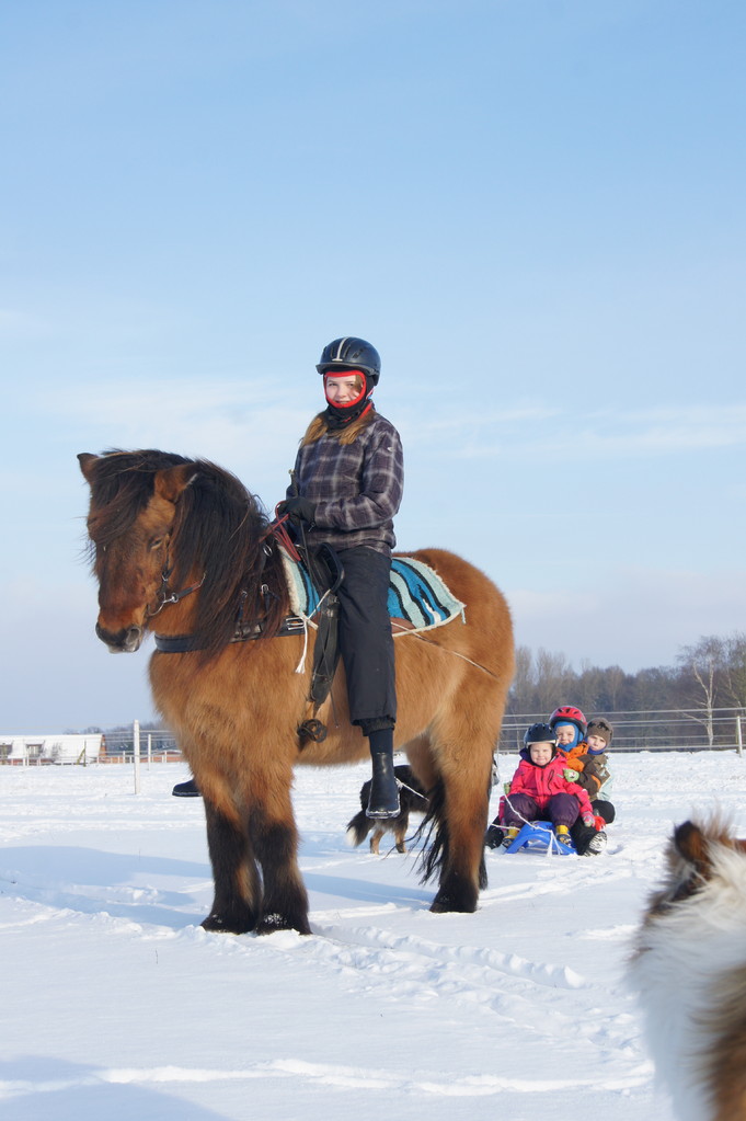 Schlittenfahrt im Winter 2012/13