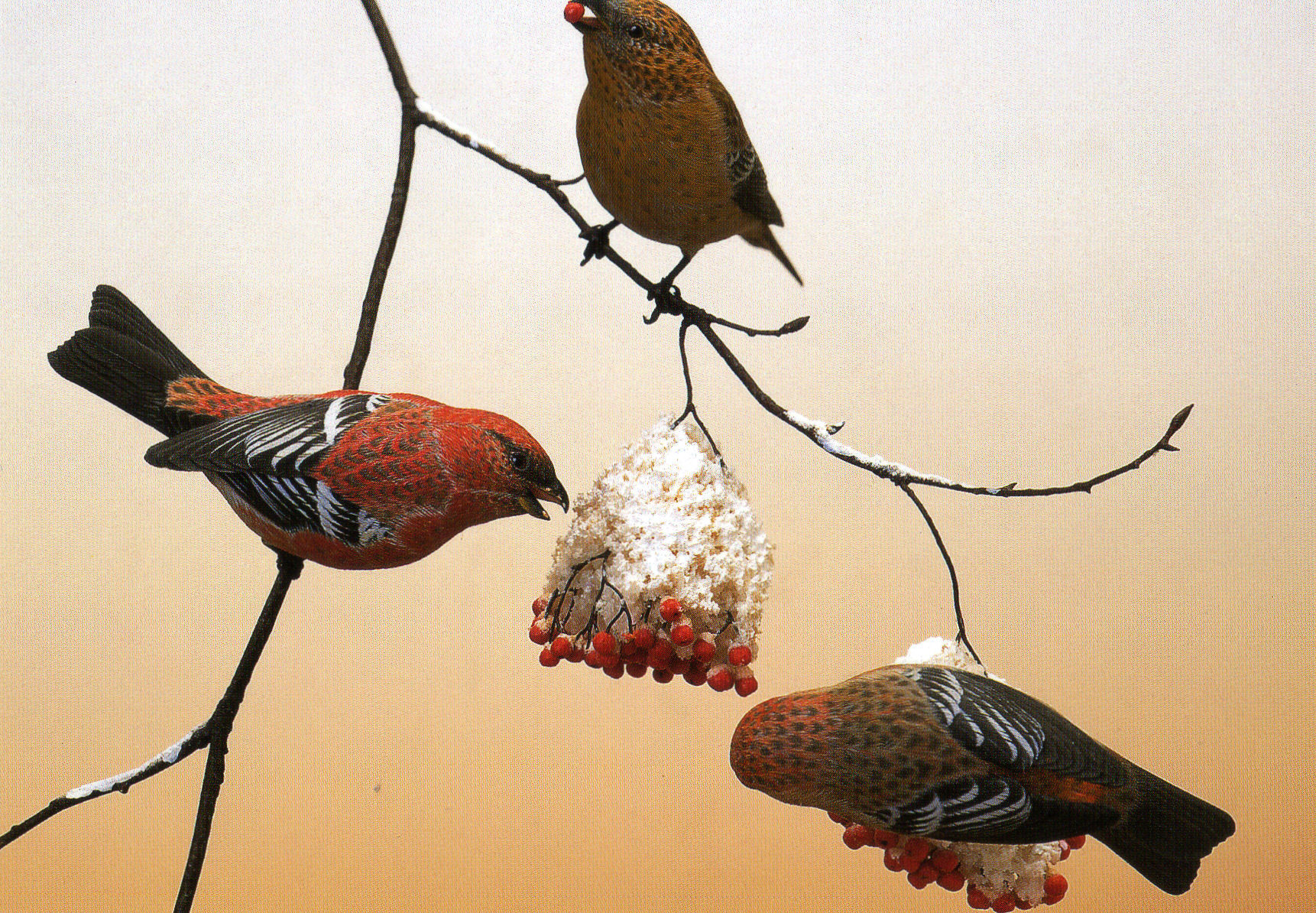 carving Bird Carving and Wood Inlay by Haruo Uchiyama