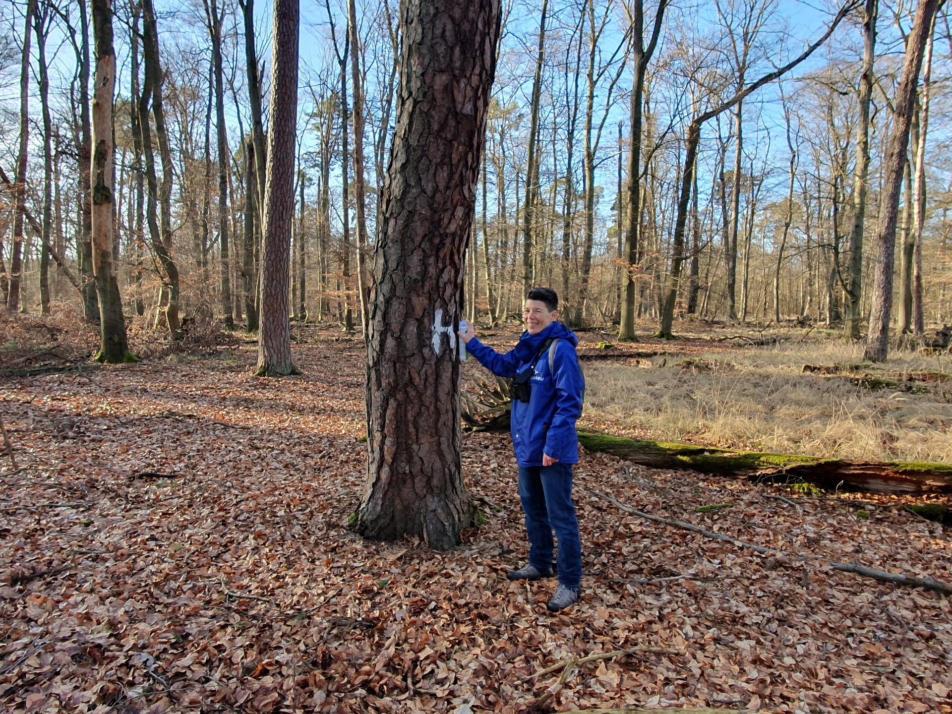 Miriam bei der Markierung eines gefundenen Horstbaumes