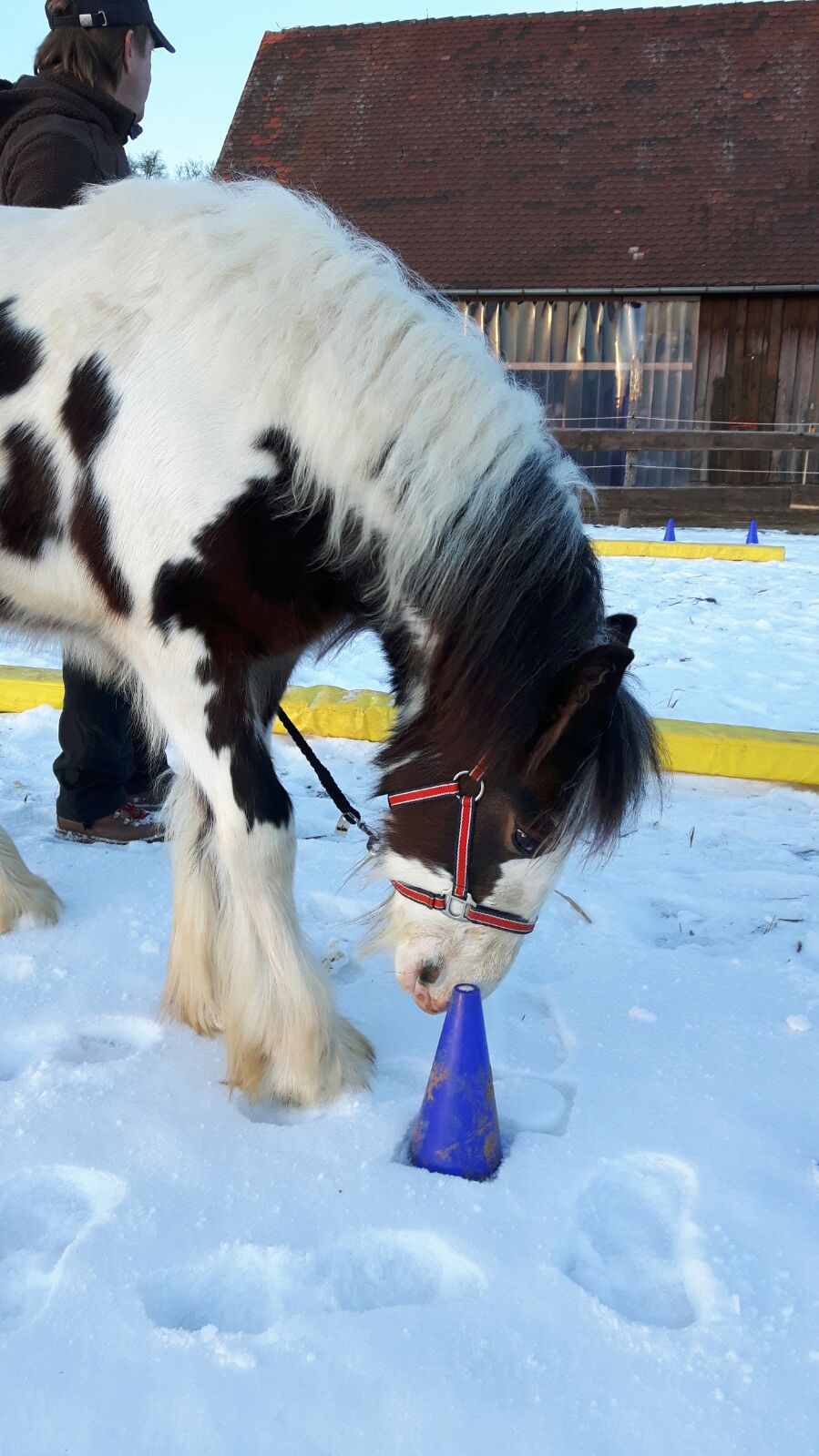 DualAktivierung und teamdaums seite!