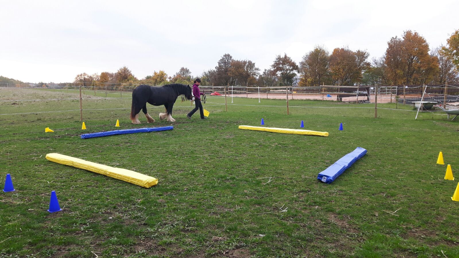 DualAktivierung und teamdaums seite!