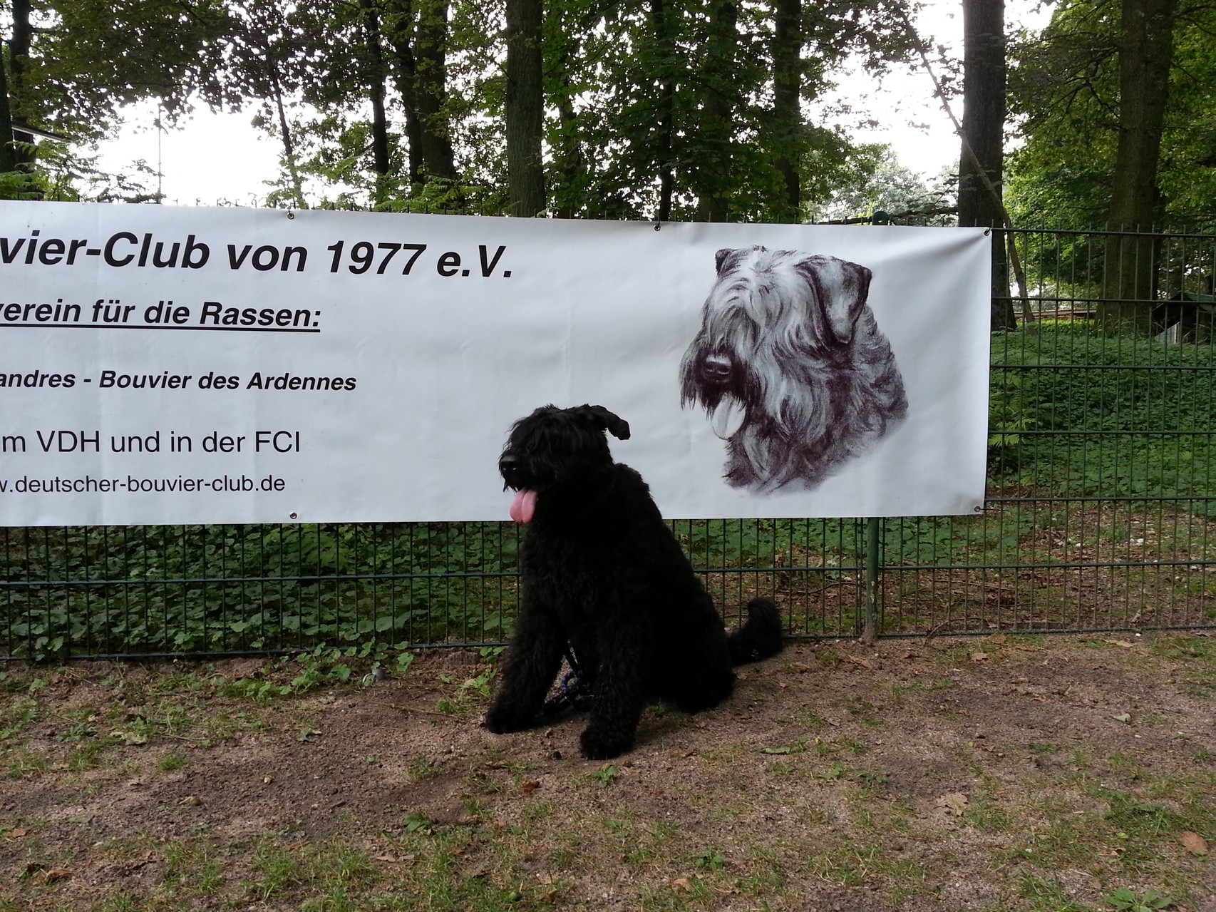 29.07.2014 Foto: Günter Bodenstein