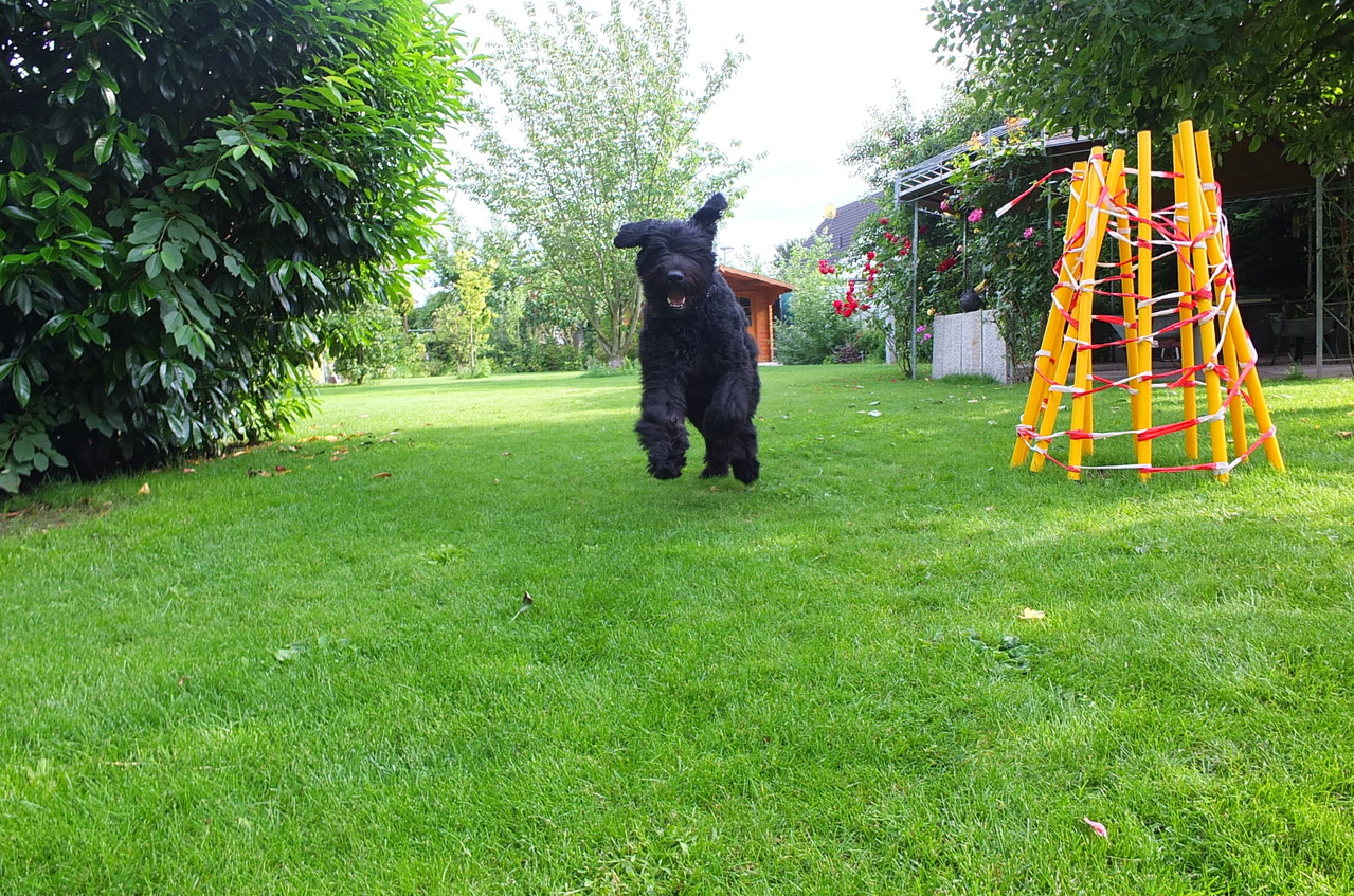 29.06.2013 im Garten