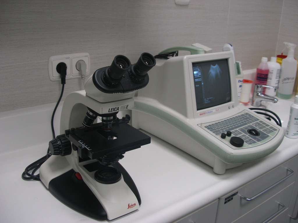 Segunda consulta - microscopio y ecógrafo