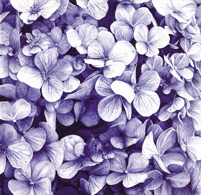 Entre flores azules
