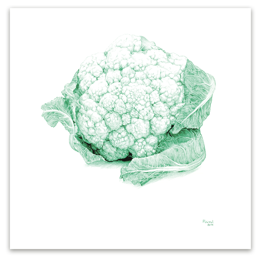Coliflor