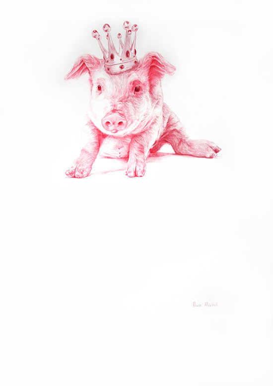 Cerdito coronado