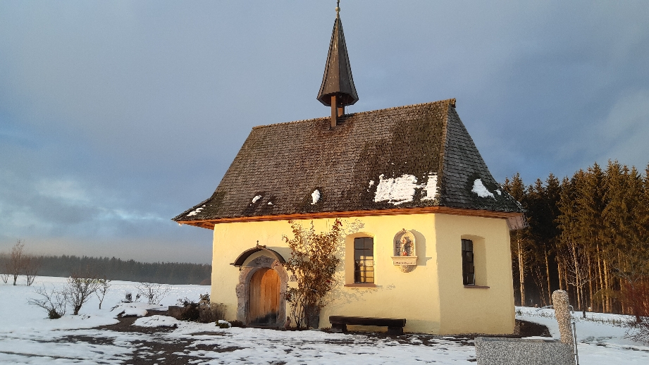 in der Abendsonne