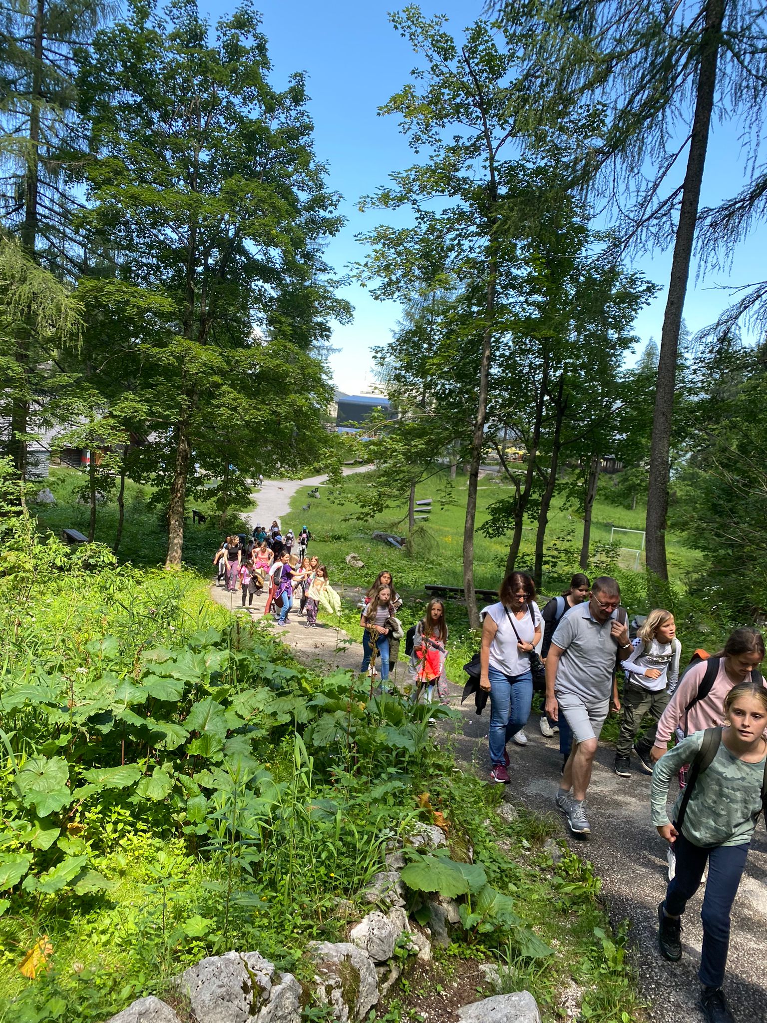 Dachstein Rieseneishöhle