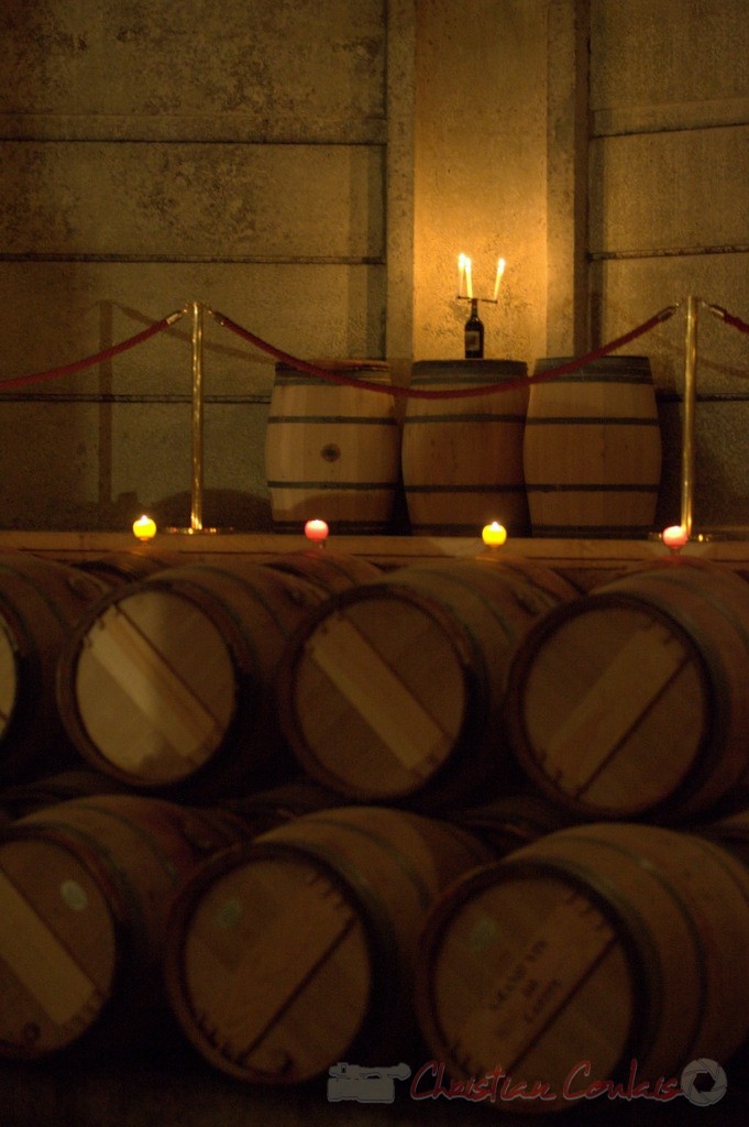 Thibaut Cauvin aux Estivales de musique en Médoc, Château Lafite Rothschild, Pauillac, 15 janvier 2015. Reproduction interdite - Tous droits réservés © Christian Coulais