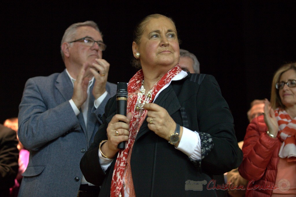 Jean-Marie Darmian, député suppléant de Martine Faure au micro. Meeting "Majorité départementale" aux élections départementales de la Gironde, Blasimon, 9 mars 2015