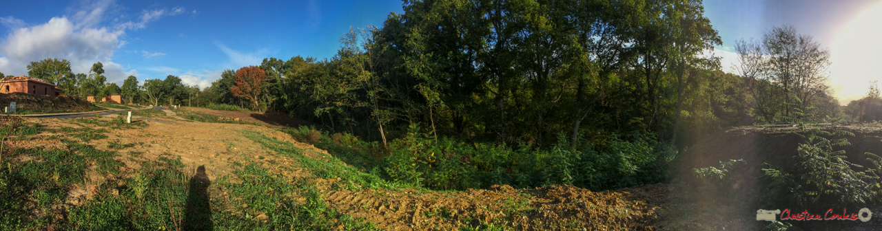 5 Le clos du Petit Maître, avenue du bois du moulin, Cénac, Gironde. 16/10/2017