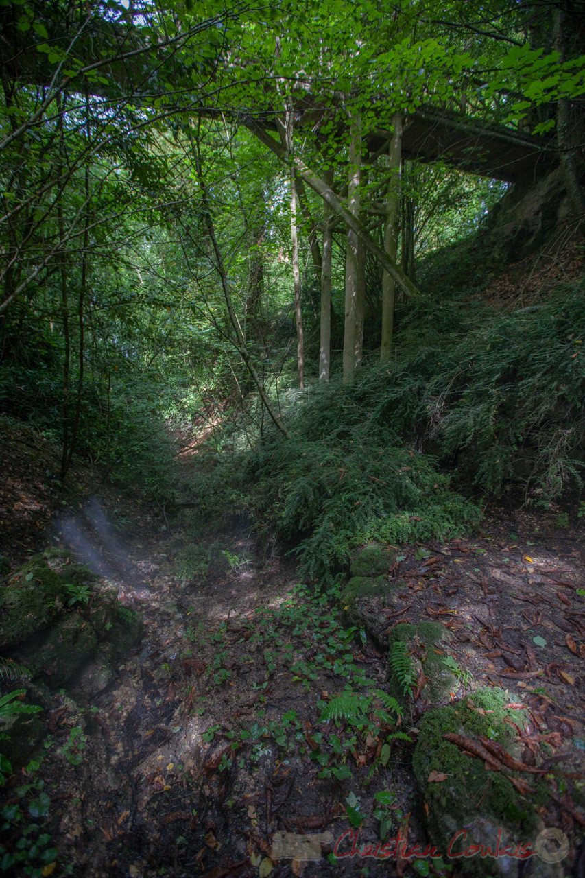 La Vallée des brumes, Domaine de Chaumont-sur-Loire, Loir-et-Cher, Région Centre-Val-de-Loire. Mercredi 26 août 2015. Photographie © Christian Coulais