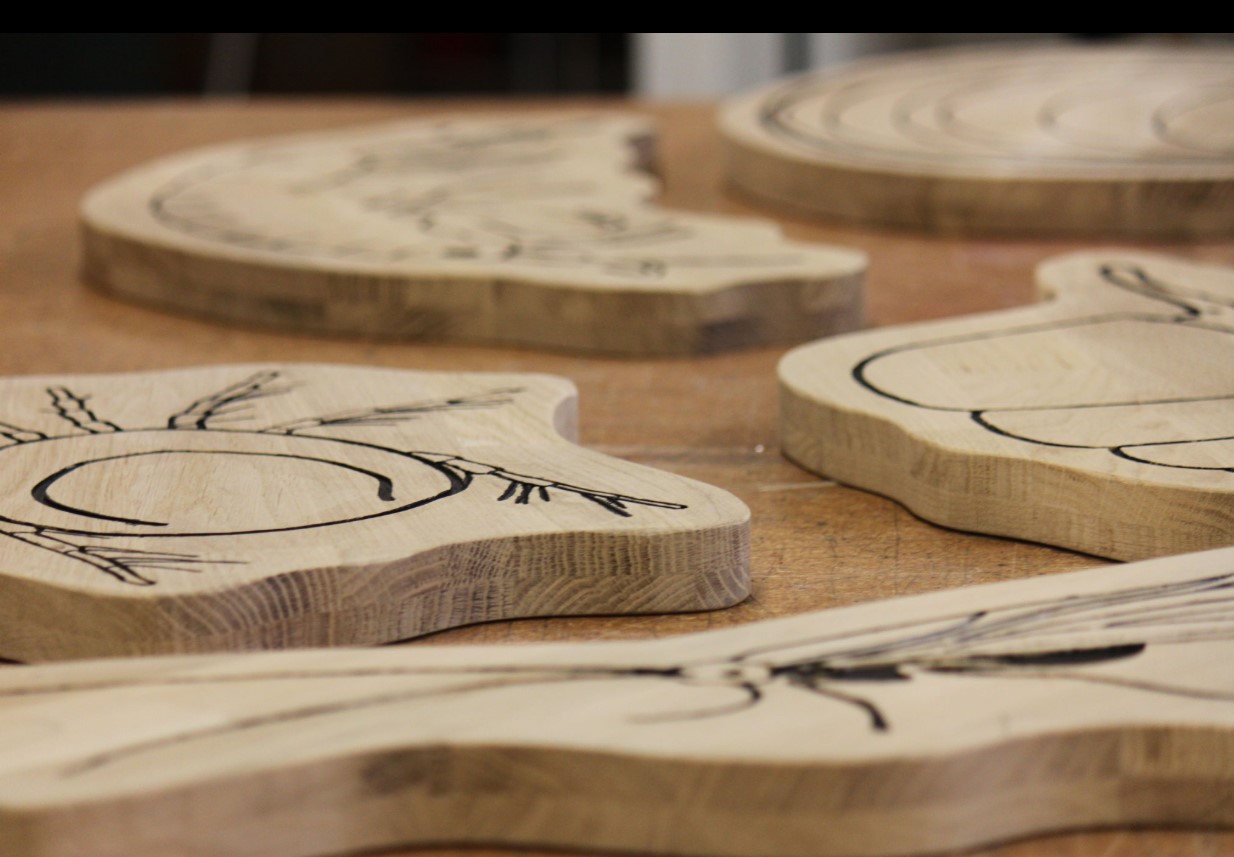 Unser Bioprofilkurs Q2d hat gemeinsam mit der Muthesius Kunsthochschule & dem Naturpark Westensee einen Walderlebnispfad mit 13 interaktiven Stationen gestaltet – von Eiszeit-Simulation bis Vogel-Quiz. Am 9.10.24 feierlich eröffnet!