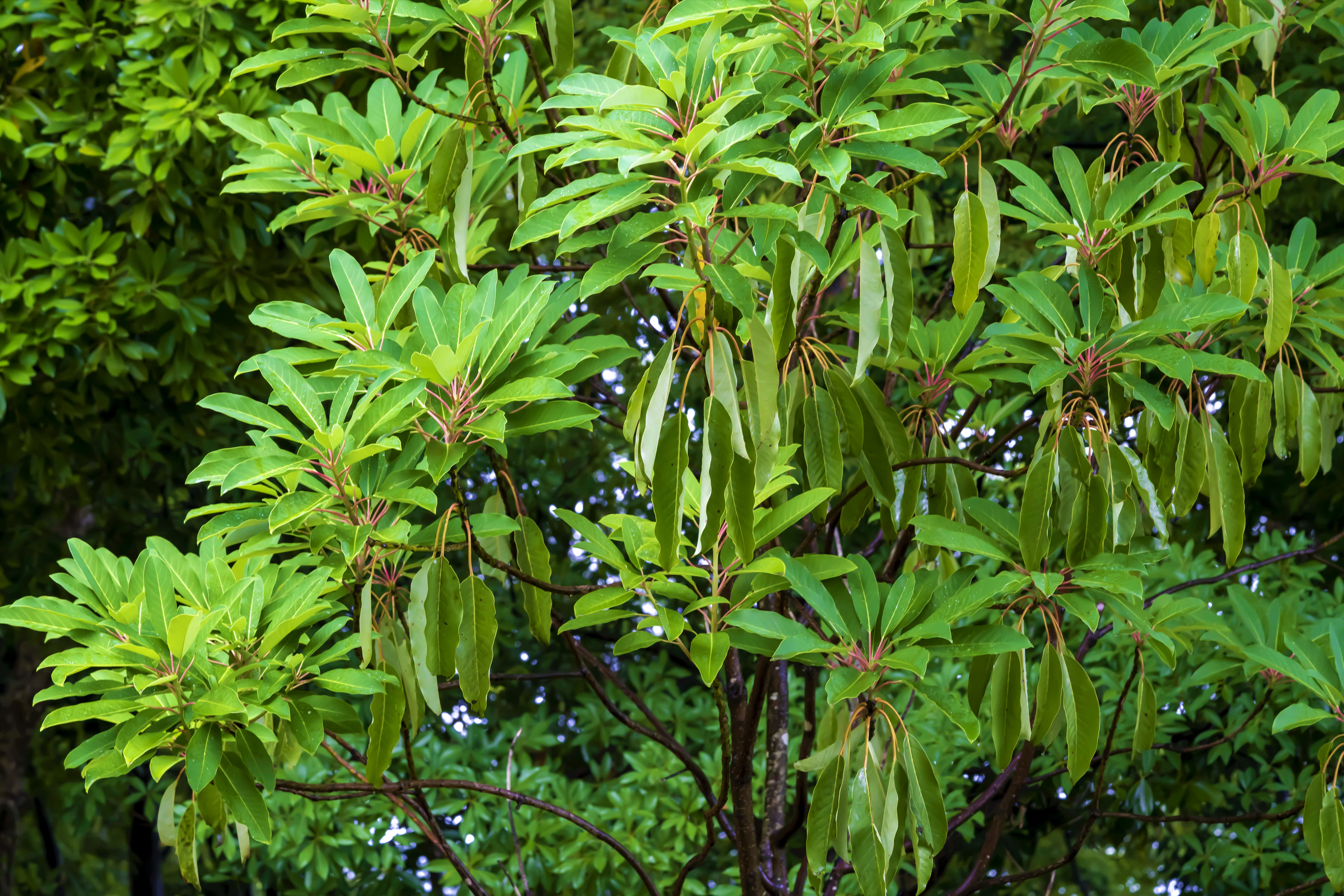 概要 - 株式会社ゆずり葉の会