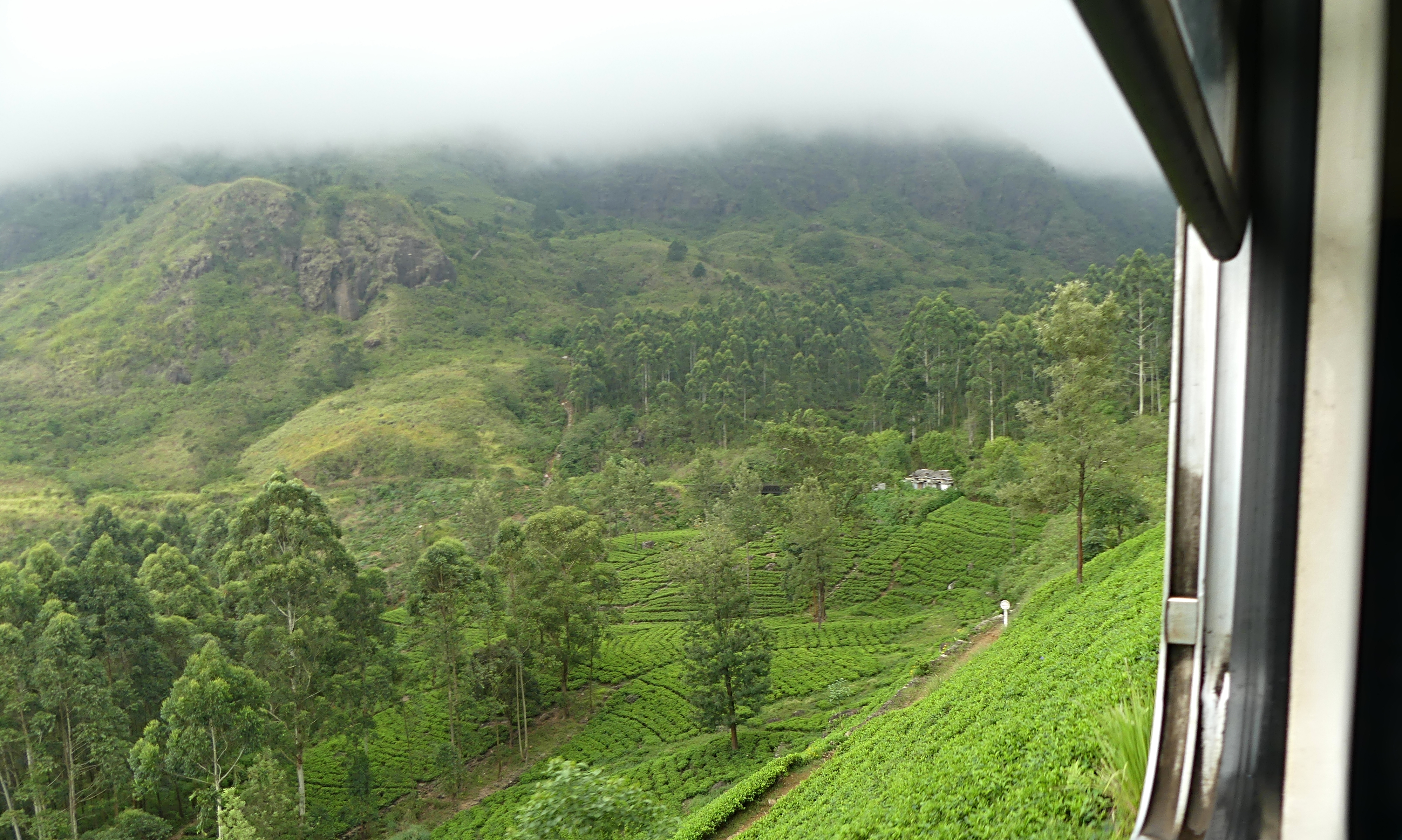 extraordinaire trajet en train en Kandy et Ella