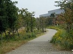 早渕公園