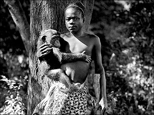 ブロンクス動物園のオタ・ベンガ(1906年)