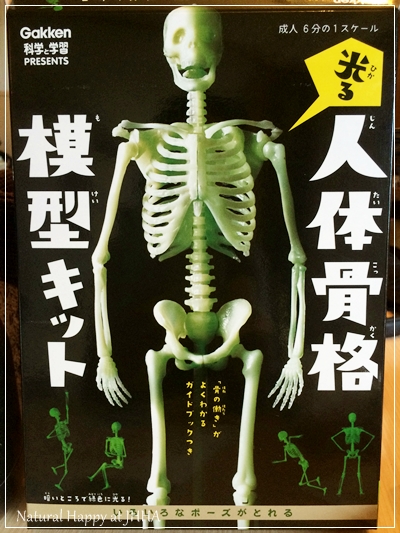 昔買ってみた人体模型キット。なんと!光るんです、そして動きが自在(笑)