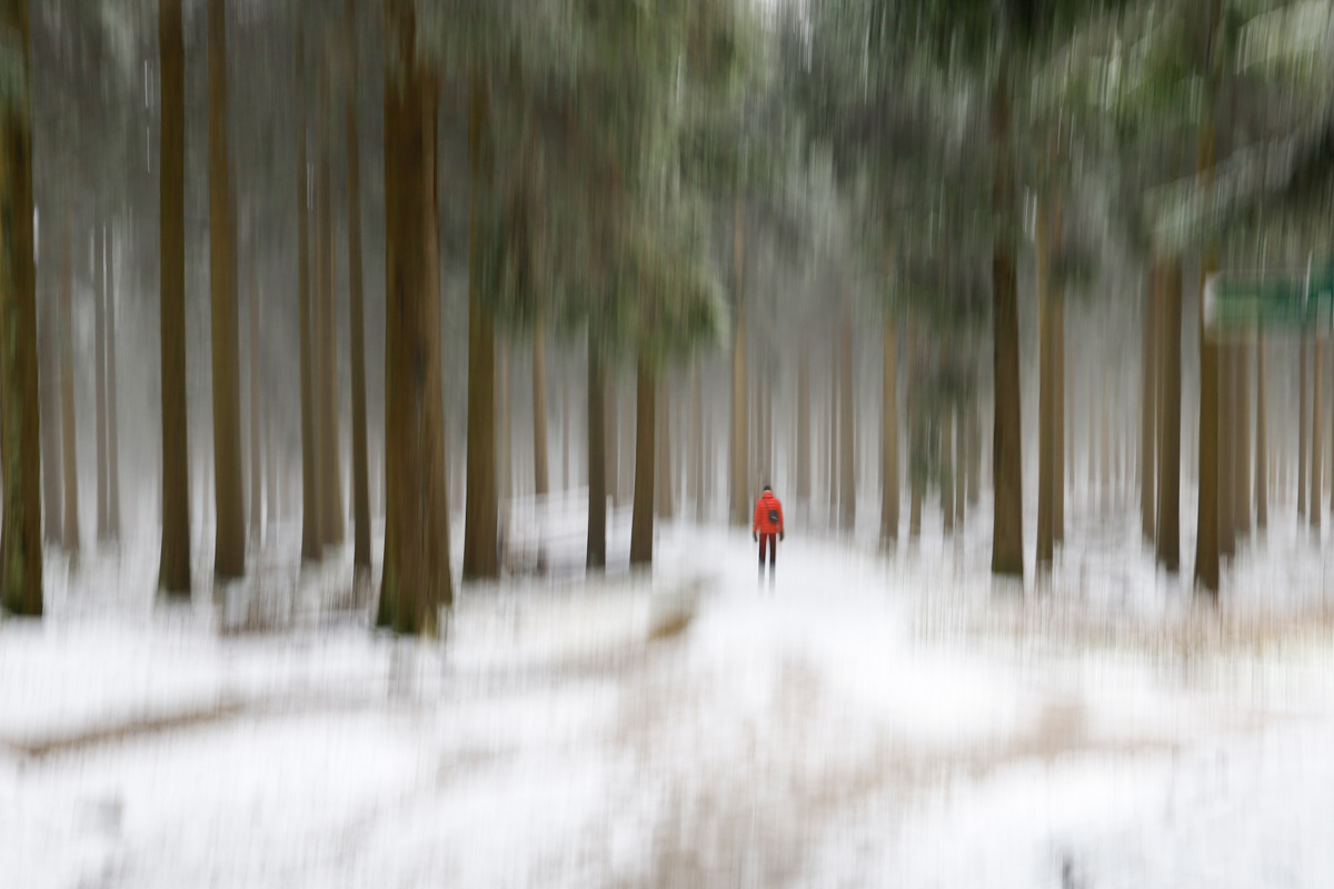 Claudia Kleinbeck - Spaziergang im Schnee