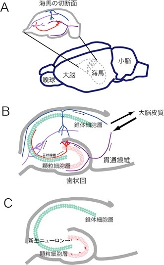 私的研究史１ Sekiref ページ