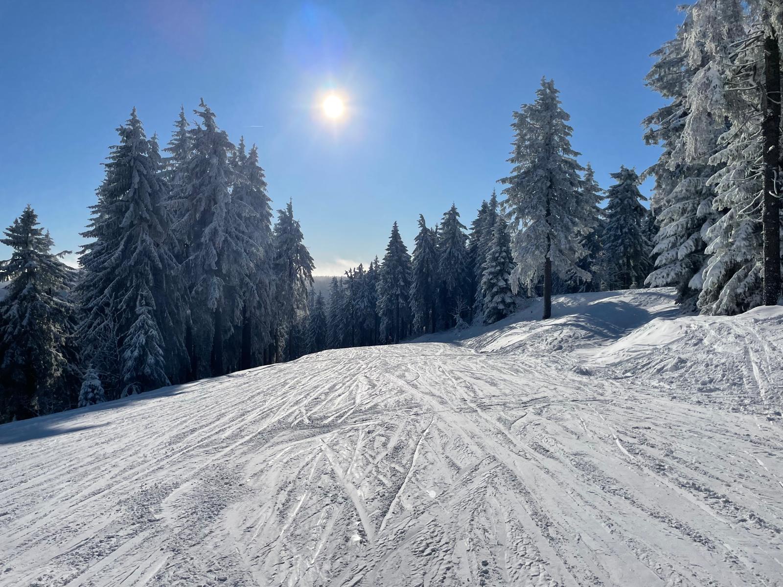 Ausflug in den Schnee...
