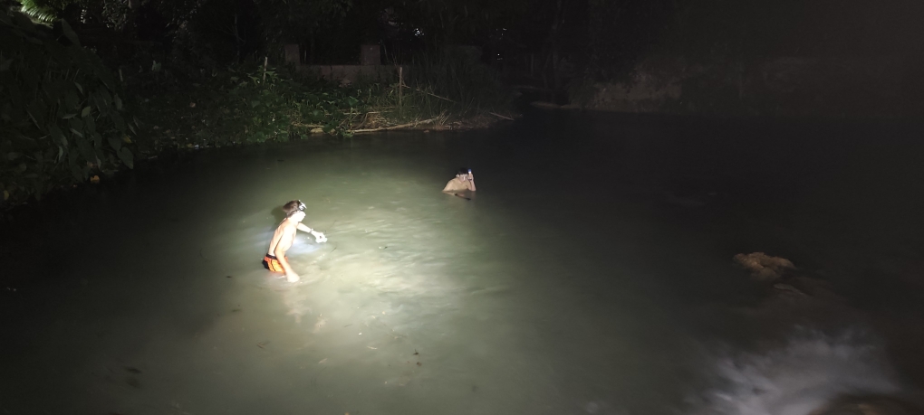 Pèche de nuit