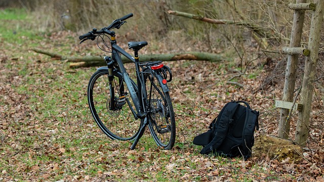 vélo noir dans les bois