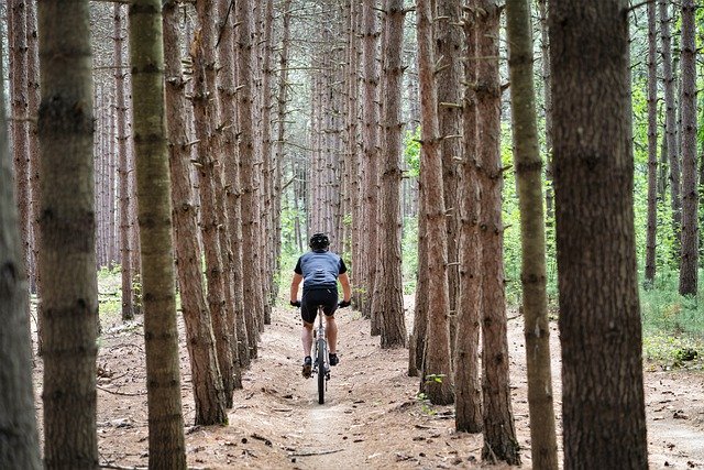 VTT occasion dans les pins