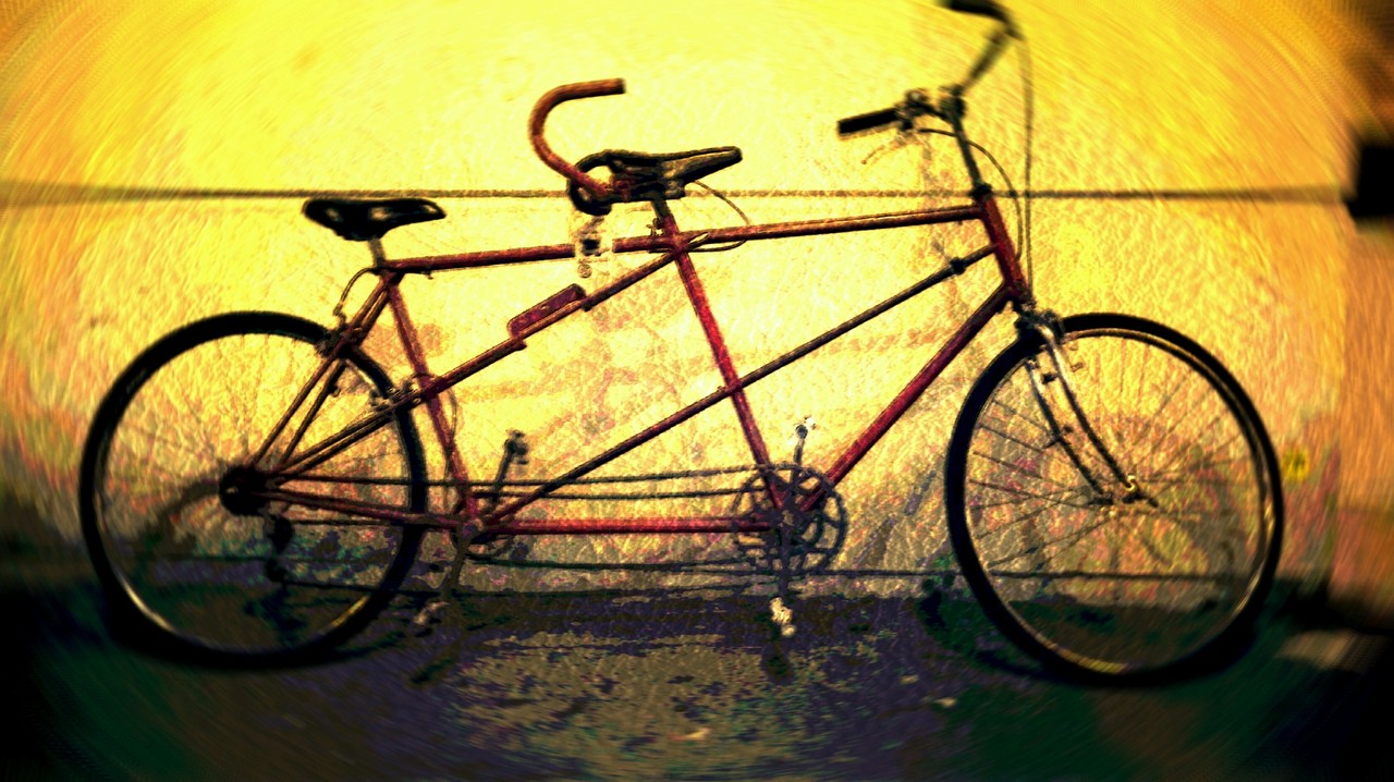 Vtt tandem occasion hot sale